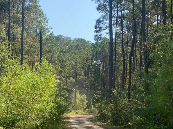 60 Horseshoe Ln, Carriere, MS 39426