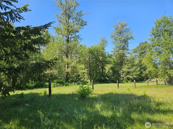 0 Park Junction Road E, Elbe, WA 98330
