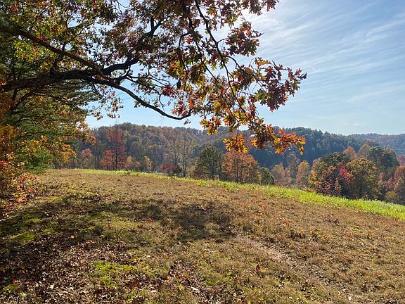 A beautiful view over the valley to the south from under this big white oak tree