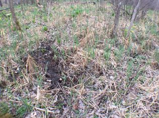 Bayne Rd, Nashville, MI 49073