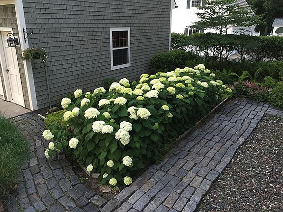 Cobblestone walkway 