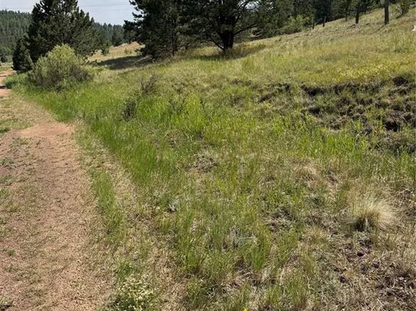 39 Rabbil Creek Trl, Florissant, CO 80816