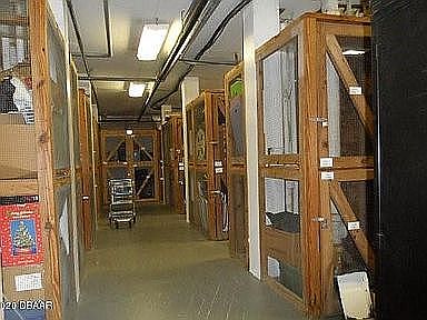 5th image of 2800 N Atlantic Ave APT 807