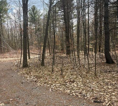 4th image of 97 Greenly Rd