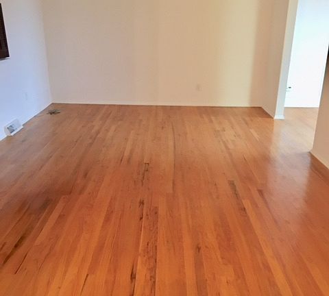 4th image of 10355 Kingsport Dr