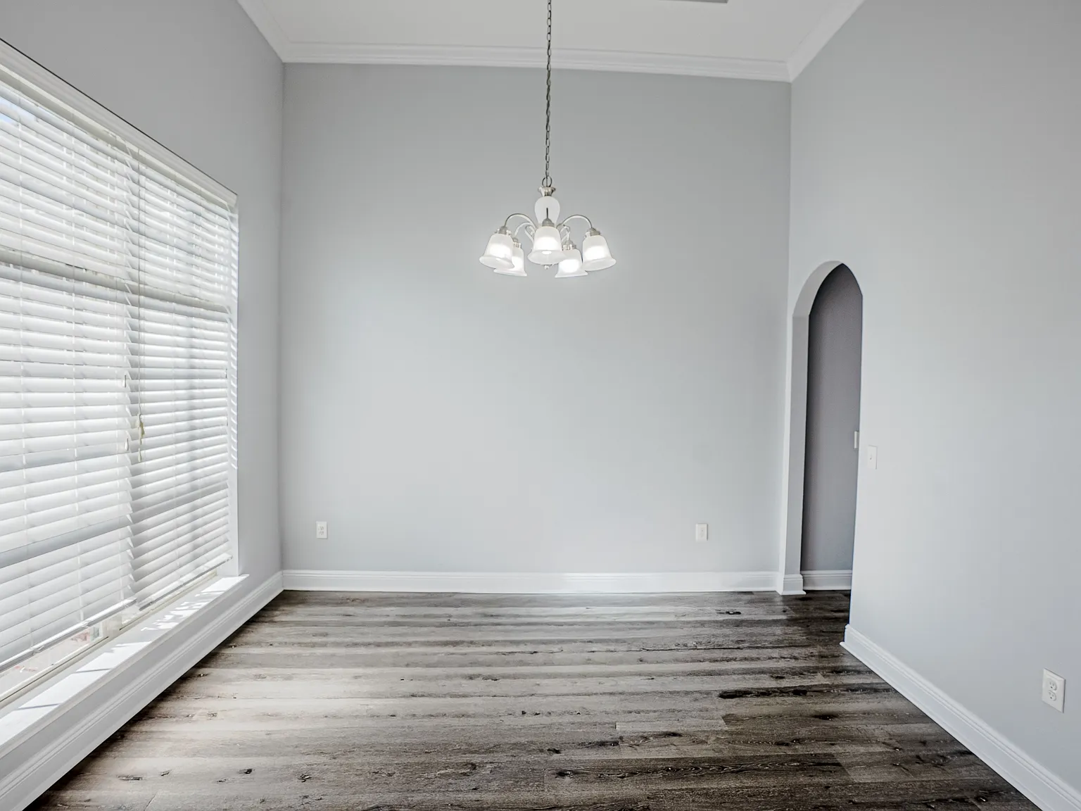3203 Colter Street - 1 — Photo 4