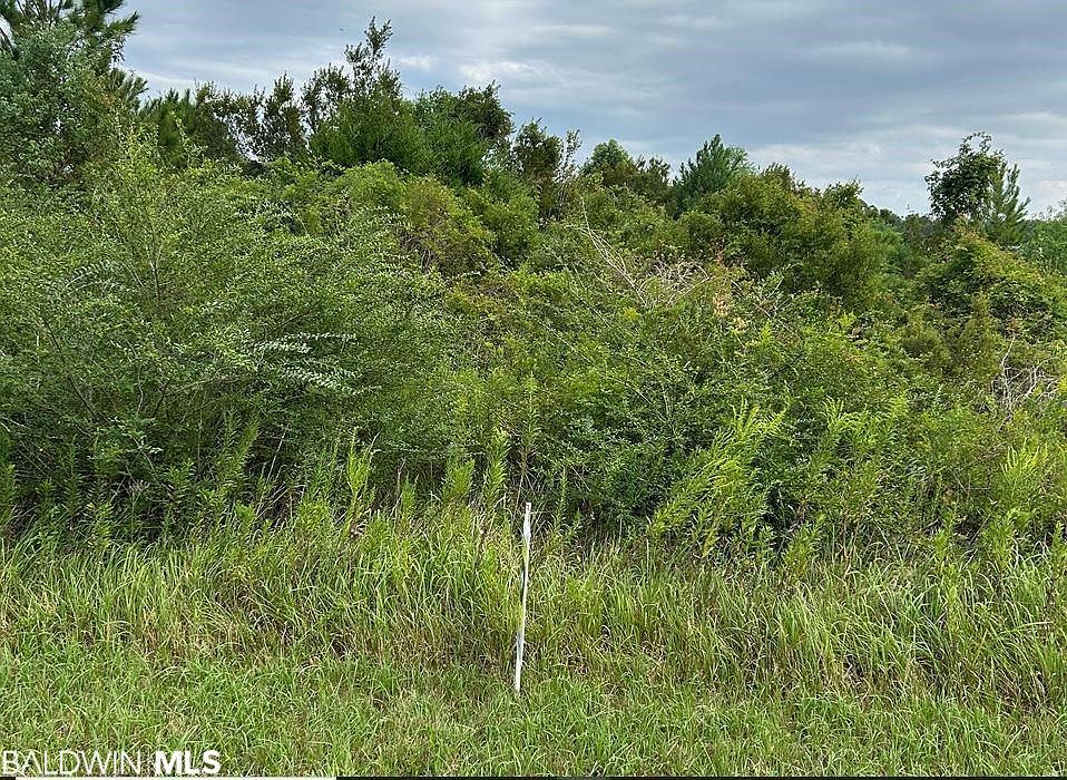 2nd image of 00 Bellingrath