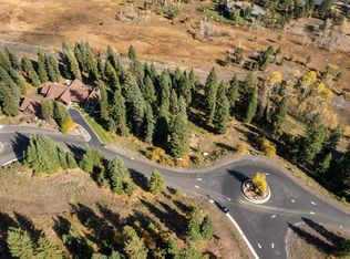 459 Osprey View Dr, McCall, ID 83638