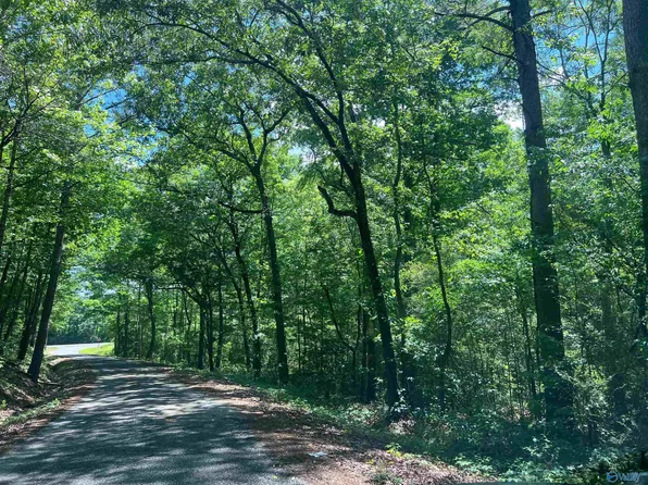 2.90 Gidley Rd, Gadsden, AL 35903