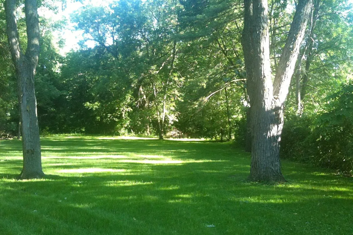 Backyard - 3637 Togo Rd