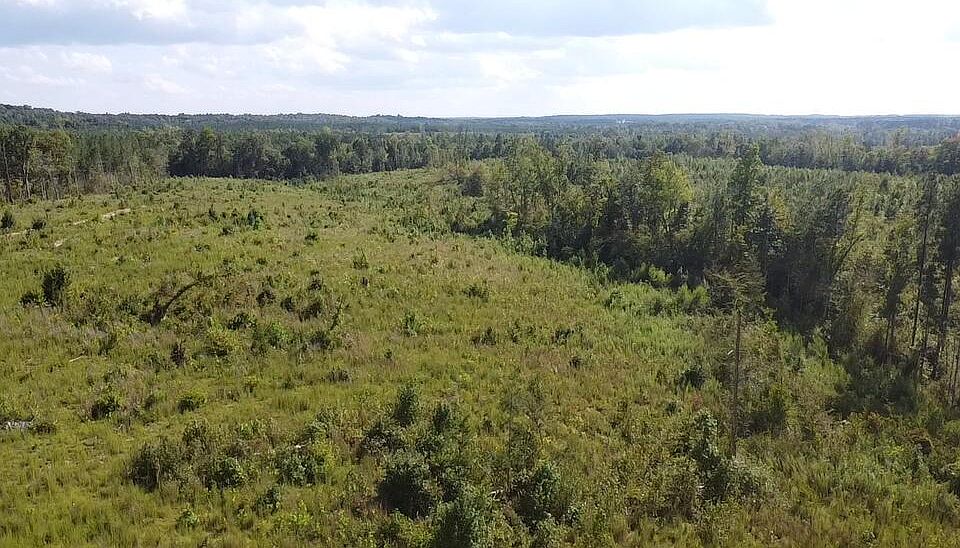1st image of 2024 Ashcake Creek Rd