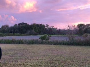 4201 Ohara Pl, Dover, FL 33527