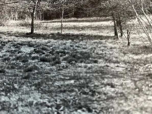 1005 Fishing Creek Rd, Falmouth, KY 41040