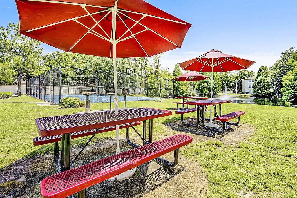 Cedar Forest Apartments — Photo 4