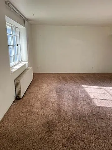 1 bed, $800 — Photo 3