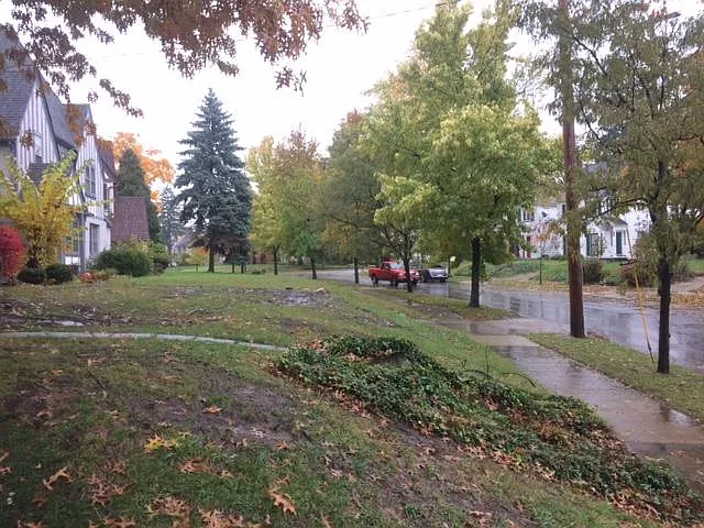 18325 Newell Rd #3C — Photo 14