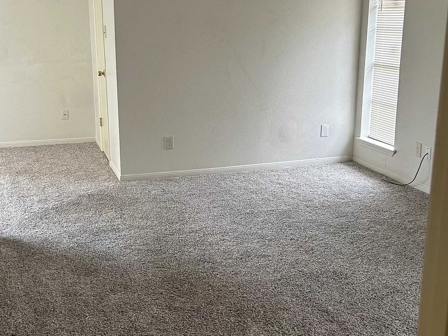 6903 Desert Rose Ln — Photo 4