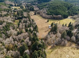 338 Rue Creek Rd, Raymond, WA 98577