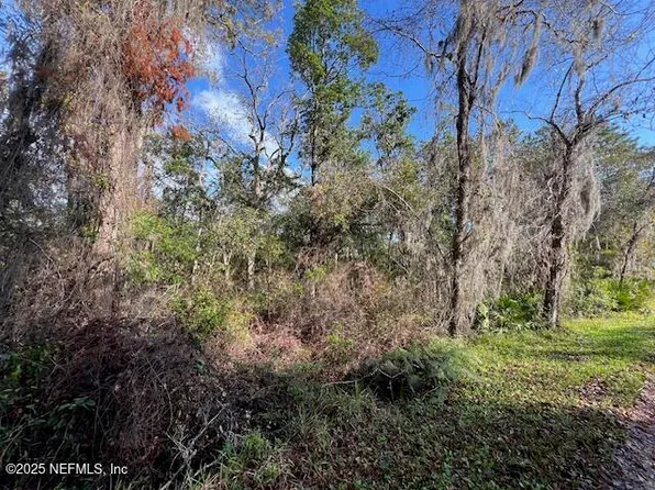 95001 DIRT Road, Fernandina Beach, FL 32034