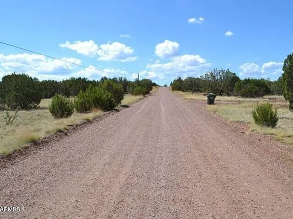TBD Supancheck -- #019H, White Mountain Lake, AZ 85912