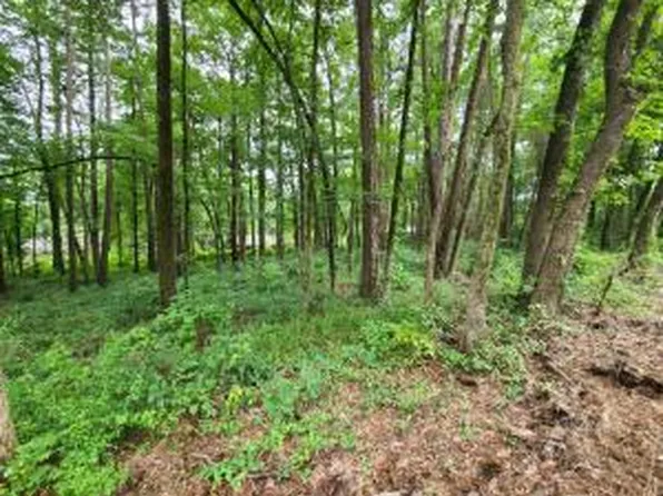 (undisclosed Address), Dardanelle, AR 72834