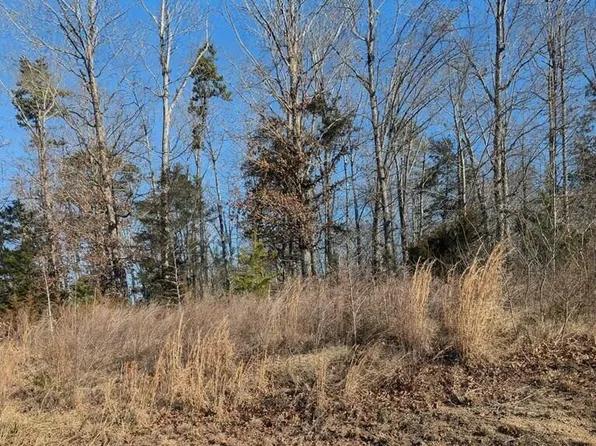 0 Kiza Dr Lot 5-5A, Buffalo Junction, VA 24529