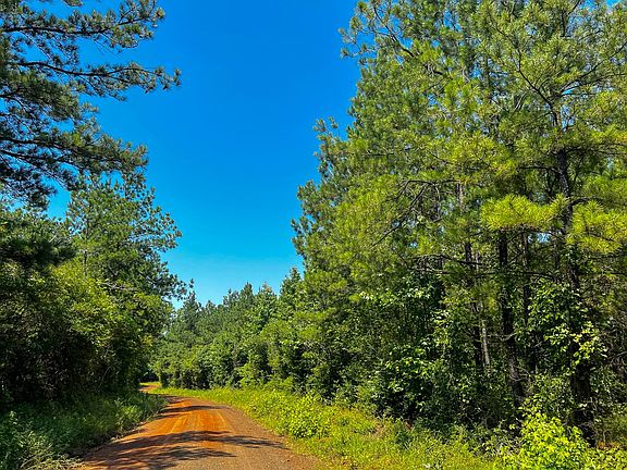 4th image of Lick Skillet Rd