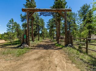 95 Double Tree Rd, Bailey, CO 80421