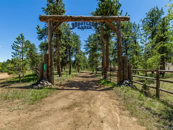 95 Double Tree Road, Bailey, CO 80421