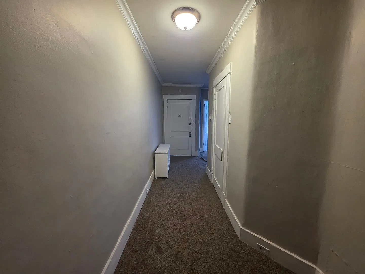 Newly updated 3 bedroom 1 bath 1st floor apartment for rent — Photo 3