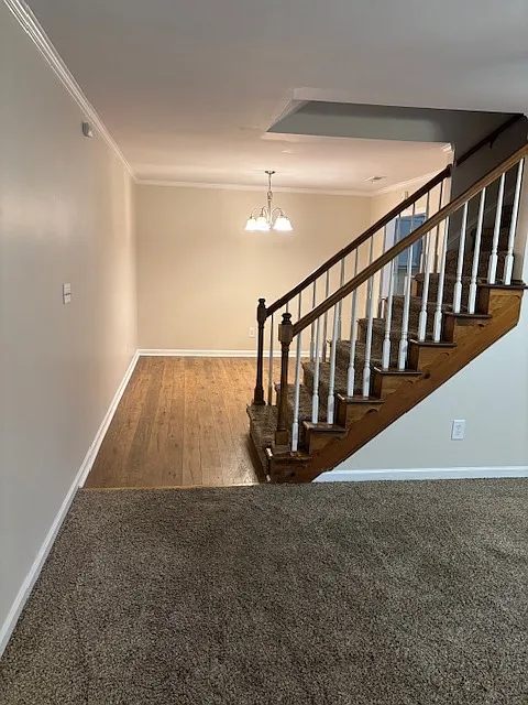 3 bed, 2.5 bath, 1365 sqft, $1,550 — Photo 4