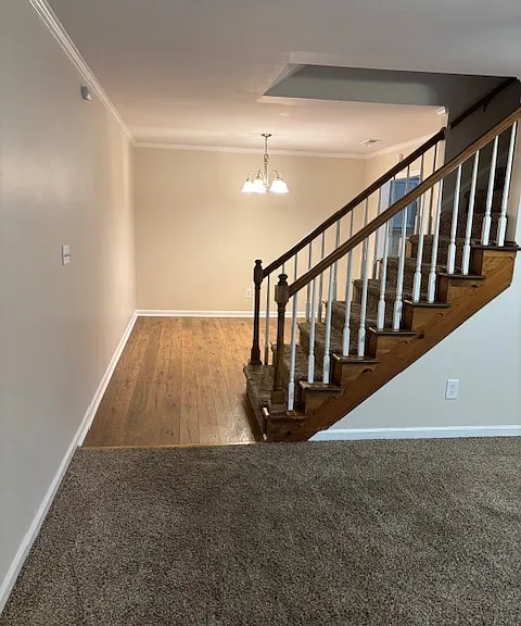 1214 Ash Cir — Photo 4