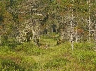 Rink Creek Rd, Gustavus, AK 99826