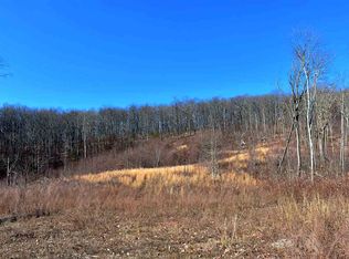 767 Big Ridge Rd, Spring City, TN 37381