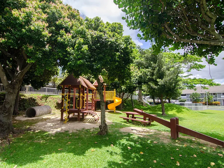 Park and field area