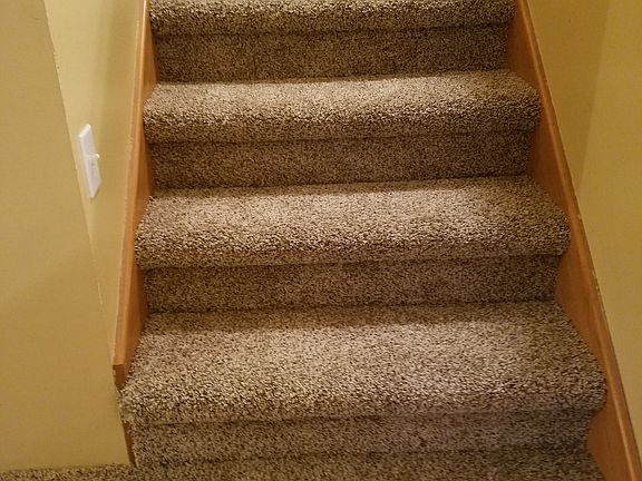 Newly carpeted steps