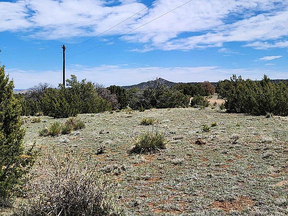 5th image of 319 Rio Cucharas Chase #2