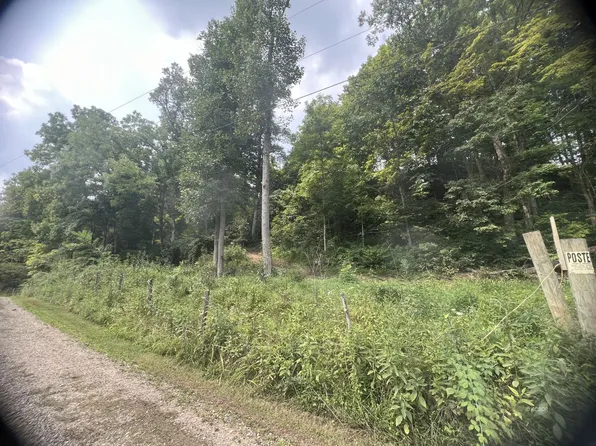 E&w Side Tr149 Long Run Rd, Long Bottom, OH 45743
