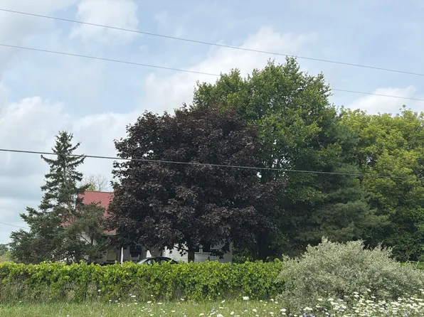 7167 Wildcat Rd, Grant Township, MI 48032