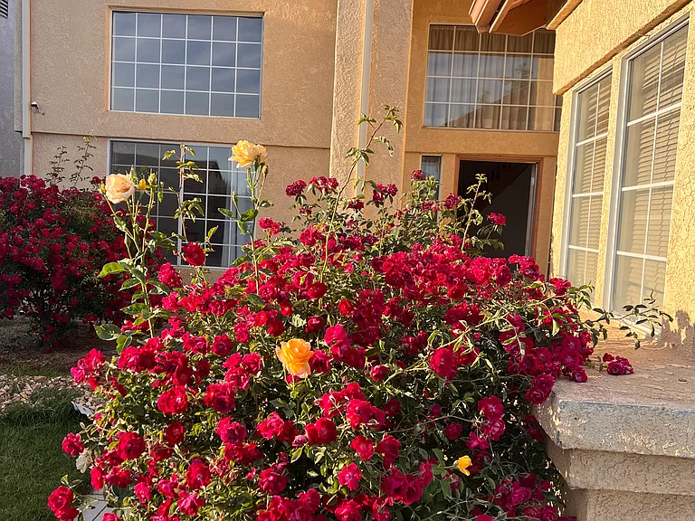 1852 Loma Linda Cir — Photo 1