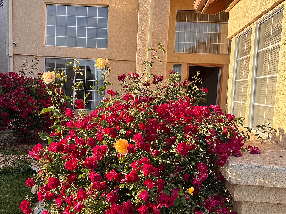 1st image of 1852 Loma Linda Cir