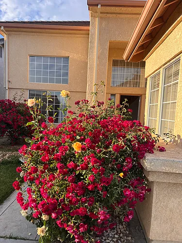 1852 Loma Linda Cir Photo 1