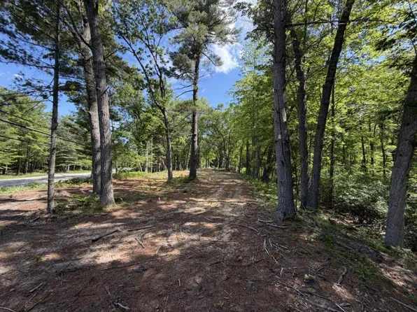 Port Austin Rd, Caseville, MI 48725