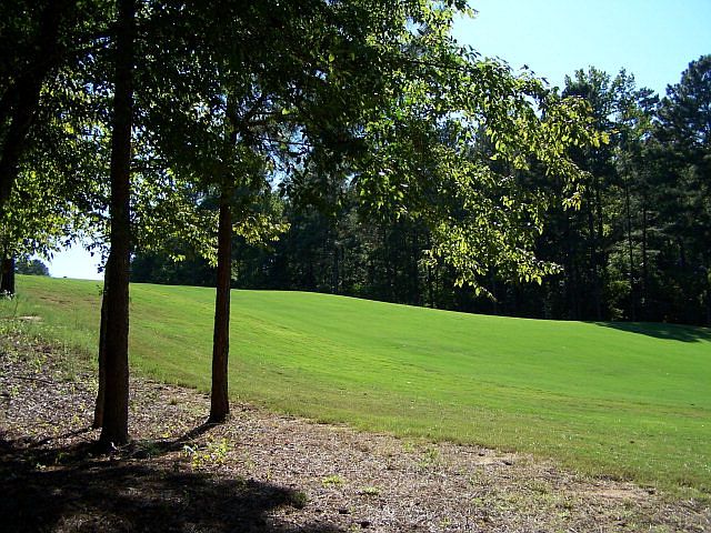 2nd image of 117 Collin Reed's Rd