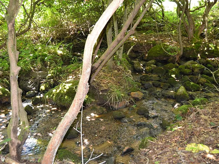 Wilds Cove Rd — Photo 39