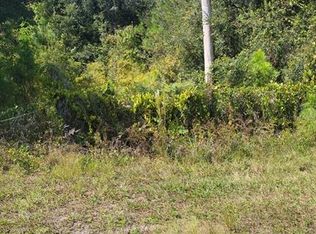 18068 Commonwealth Ave N, Polk City, FL 33868