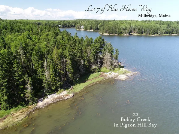 Lot 7 Blue Heron Way, Milbridge, ME 04658