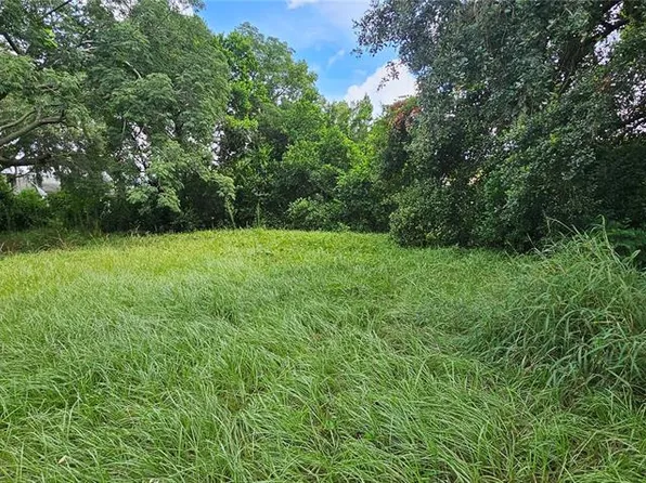 Pine Island Dr Lot 7, Leesburg, FL 34788