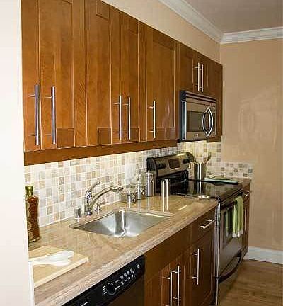 stainless appliances and granite kitchen