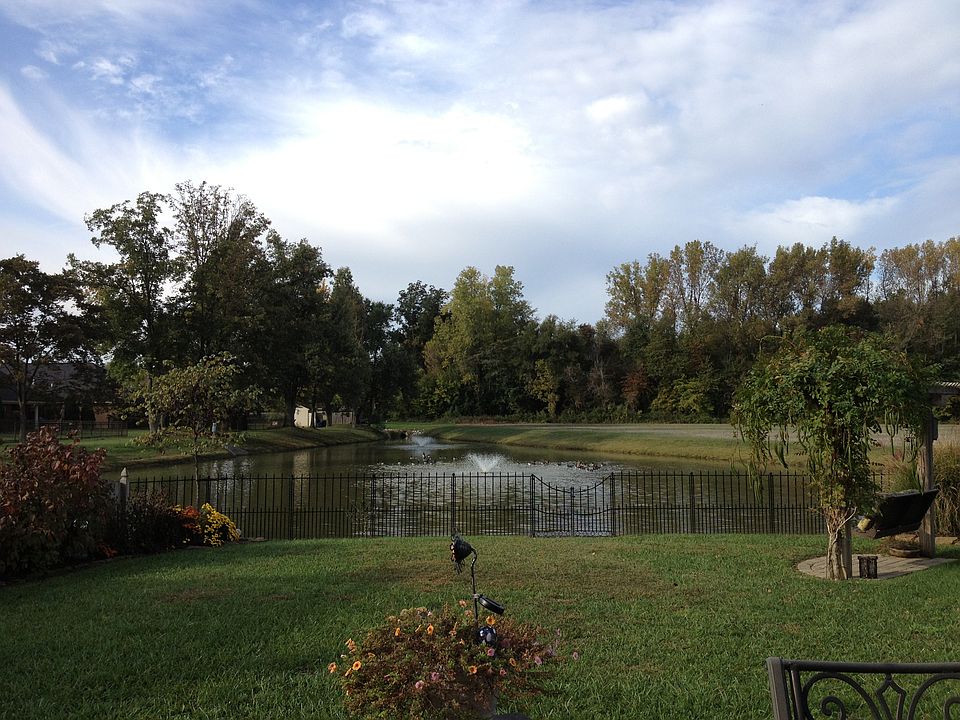 VIEW FROM BACKYARD PATIO 